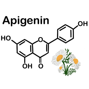 O que a apigenina faz no corpo?